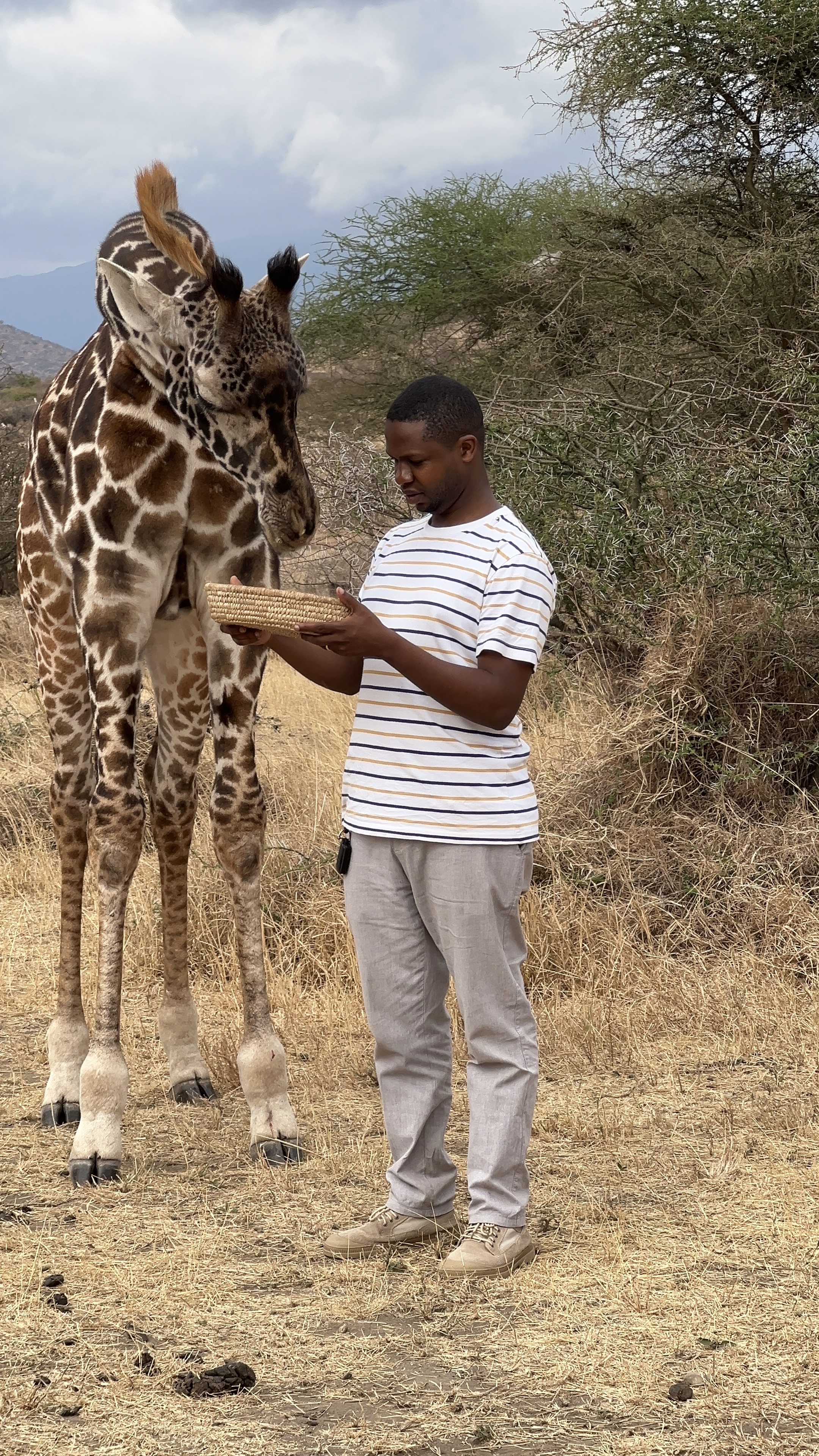 Savanna Spirit