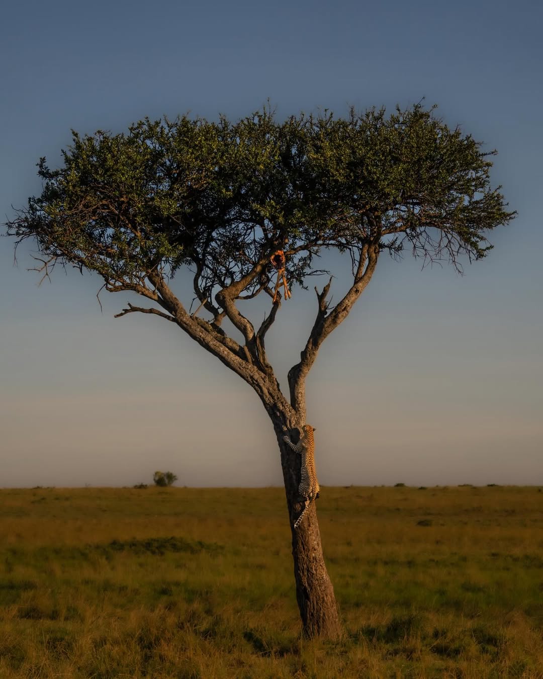 Exploring Tanzania