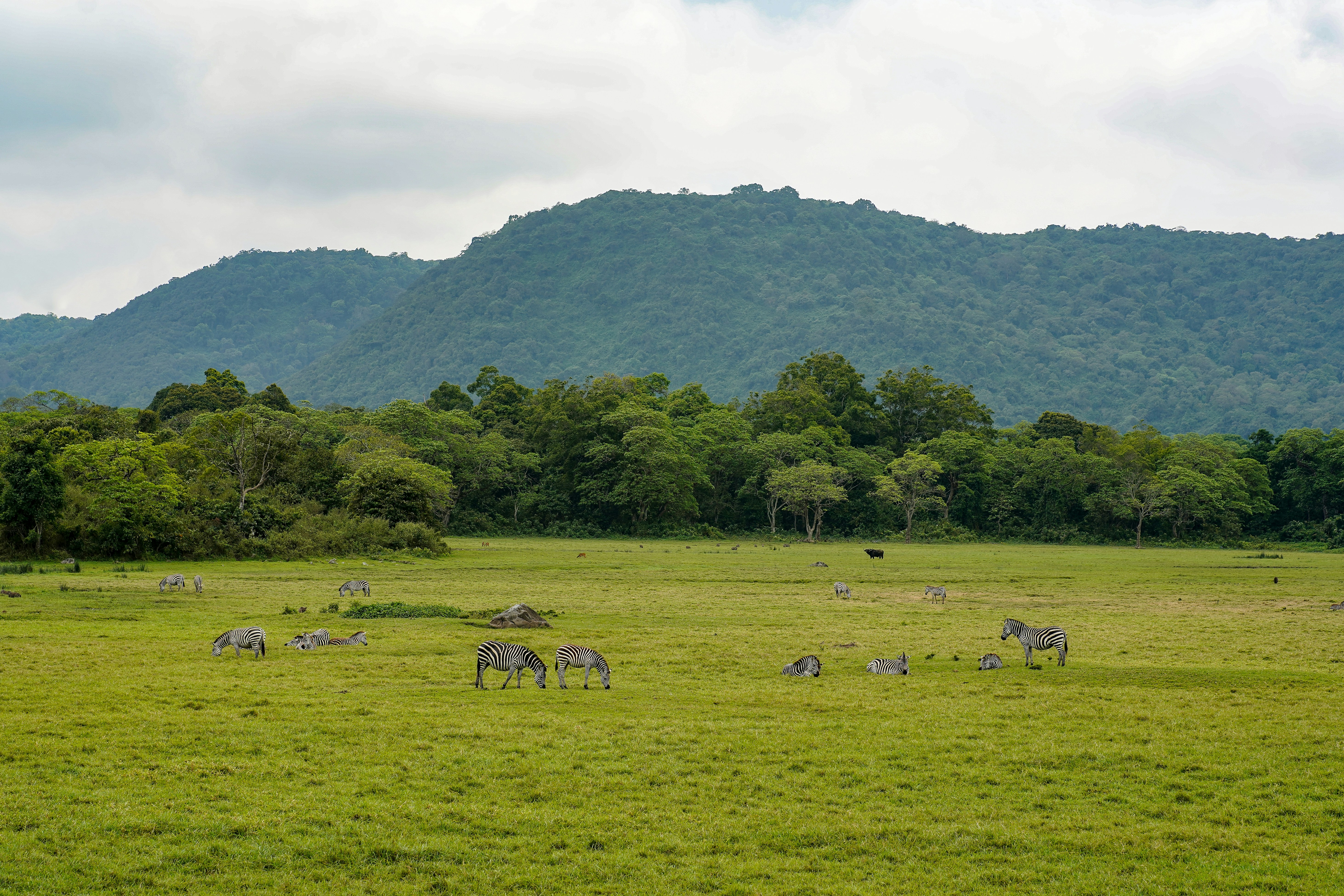 Arusha → Arusha National Park