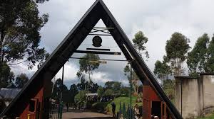 Arusha → Kilimanjaro Gate (Machame/Marangu)